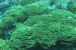 20000908_Mangrove_Bay_0012